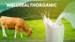 healthy life wellhealthorganic