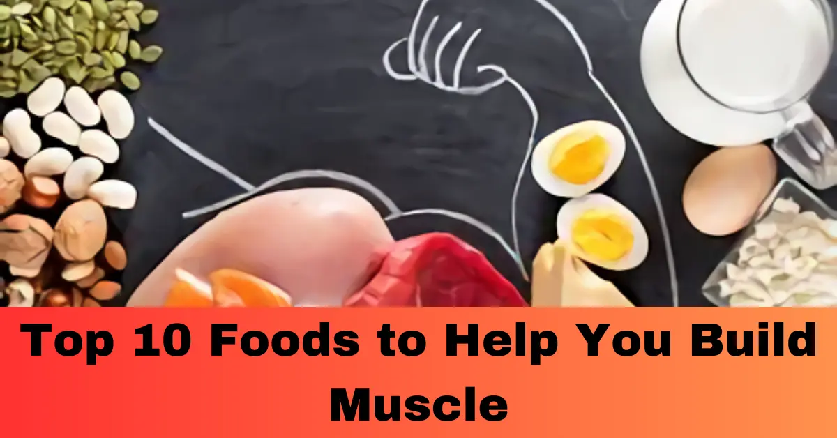 Top 10 Foods to Help You Build Muscle