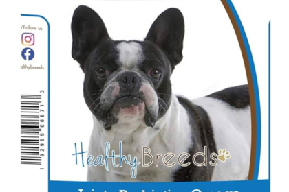 benefits-of-probiotics-for-french-bull-dogs